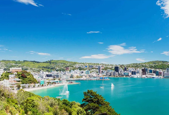 COSO|Bienvenido a Wellington, Nueva Zelanda
